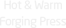 Hot & Warm Forging Press